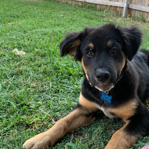 Meet your Posher, Michelle - Picture 1 of 1